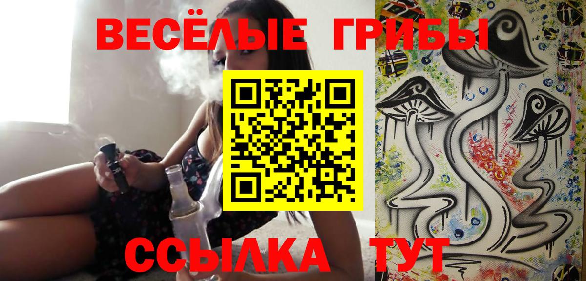 Псилоцибиновые грибы мицелий Ижевск