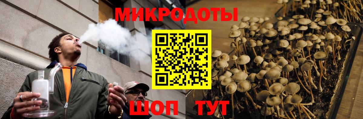 Галлюциногенные грибы MAGIC MUSHROOMS  Вход с VPN  Ижевск 